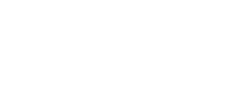 Big Logo